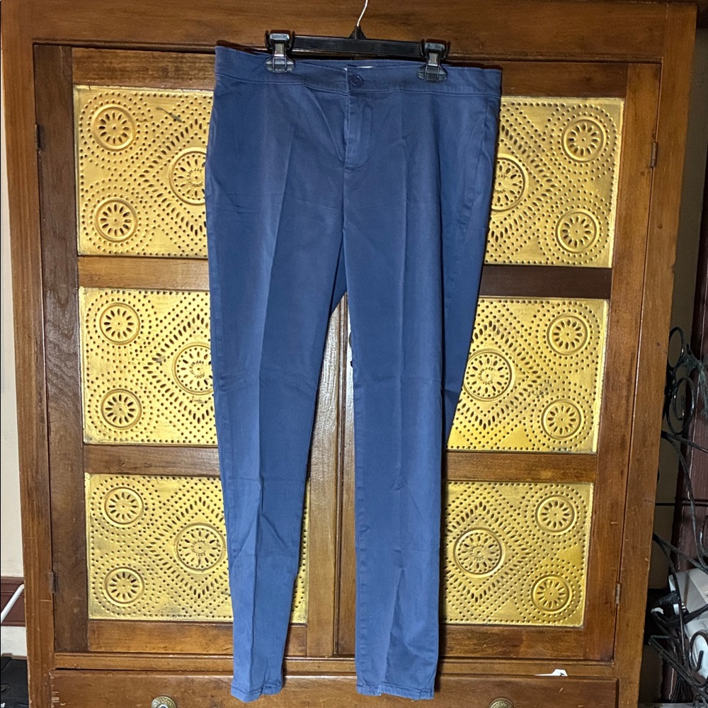 LILA RYAN Deep Blue Skinny Pants